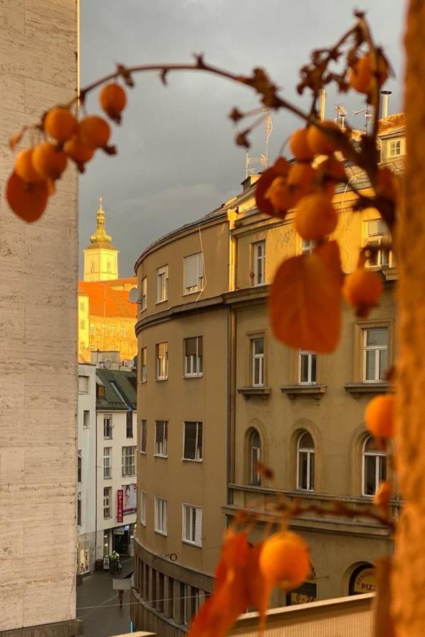 Main Square Dream Apartment Zagreb Exteriör bild